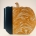 Pumpkin Book Art